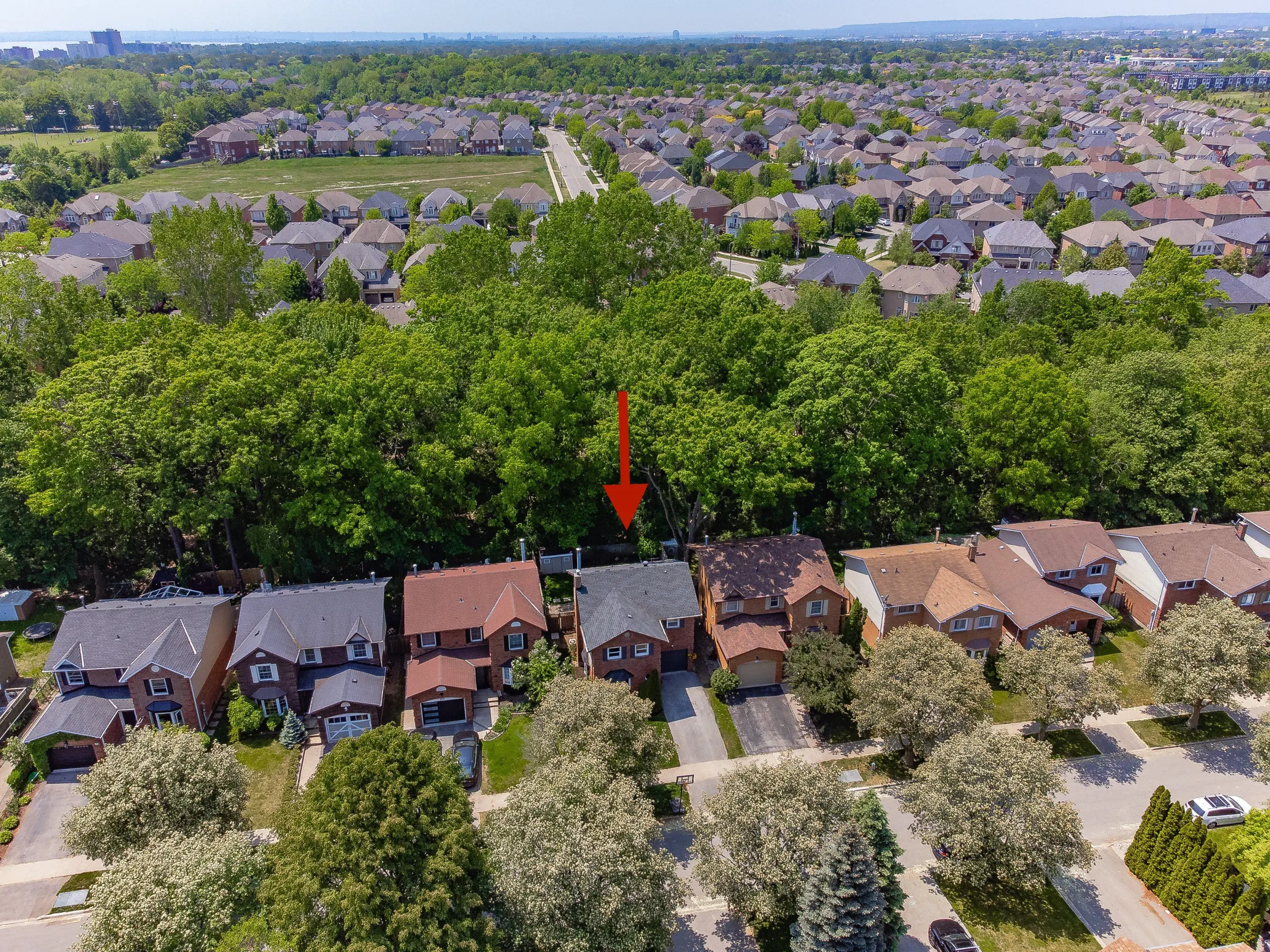 Dream home on Greenbelt